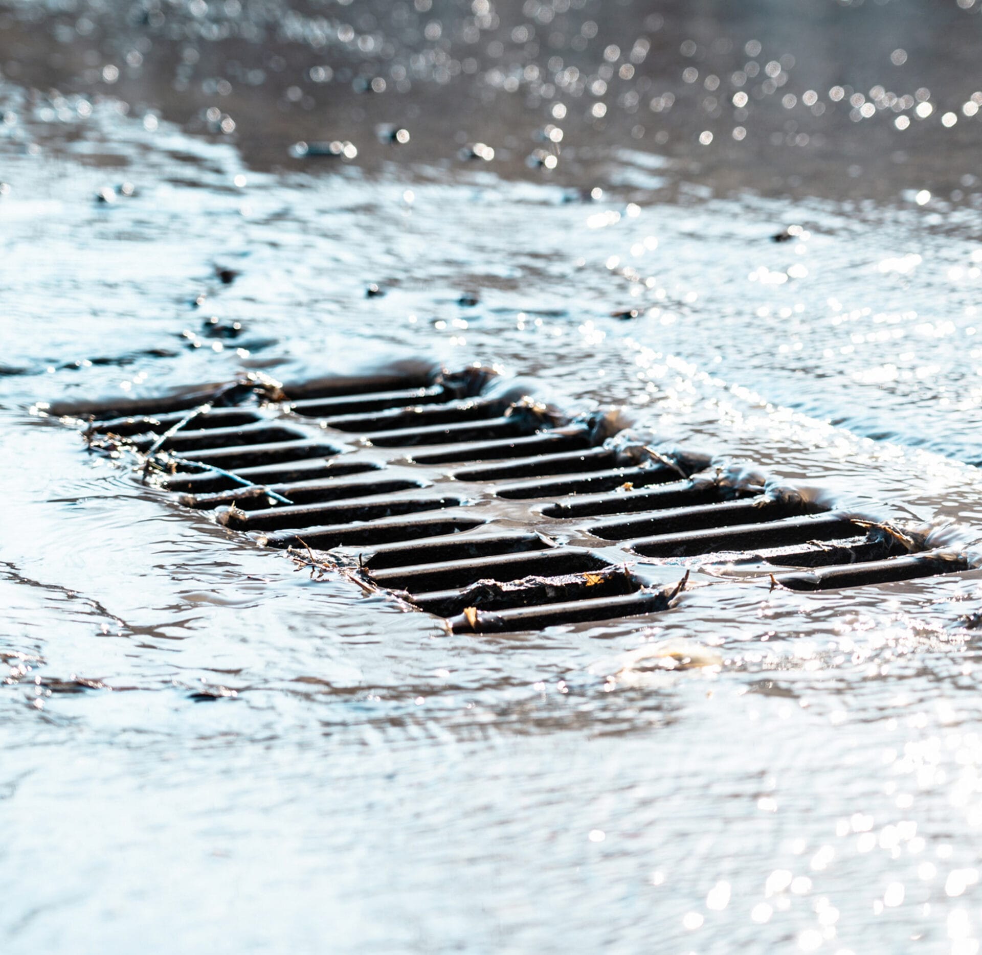 Can Storm Drains Get Clogged? - TX Hydrojet plumbing blog Houston TX